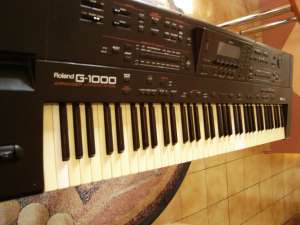 Roland G1000 + husa + stativ!