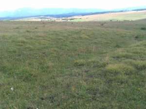 vand teren intravilan ,   450 mp
