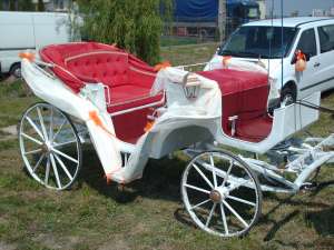 inchiriere caleasca