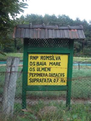 VAND PUIETI