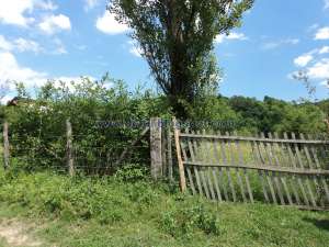 VANZARE TEREN INTRAVILAN 2000 MP IN FIENI � DAMBOVITA