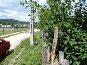 VANZARE TEREN INTRAVILAN 2000 MP IN FIENI � DAMBOVITA