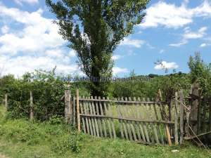 VANZARE TEREN INTRAVILAN 2000 MP IN FIENI � DAMBOVITA