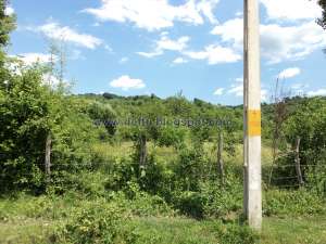 VANZARE TEREN INTRAVILAN 2000 MP IN FIENI � DAMBOVITA
