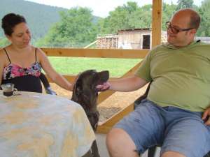 vand cane corso gri