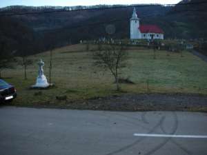 TEREN DE VANZARE