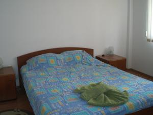 SALA PALATULUI - CISMIGIU
