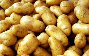 Vand legume-fructe