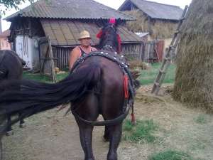 vand iapa