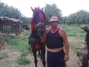 vand iapa