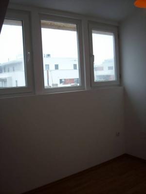 ASE Dorobanti,    PARTICULAR,    29.000 euro,    in vila