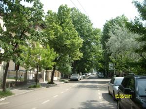 ASE Dorobanti,    PARTICULAR,    29.000 euro,    in vila