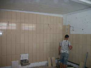 zugravi faiantari