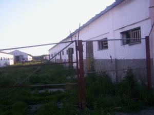 VANZARE TEREN CU CONSTRUCTII in ICLOD ,  jud. CLUJ