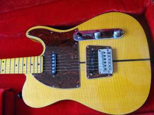 Vand chitara electrica HOHNER PROFESSIONAL"THE PRINZ"