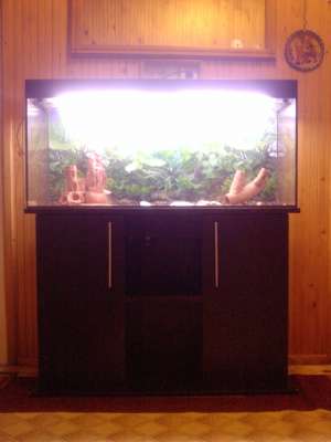VAND ACVARIU 120L