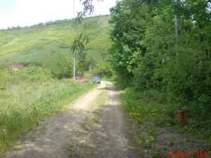 vand teren in sat Vladiceni