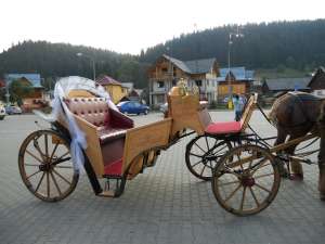 vand caleasca