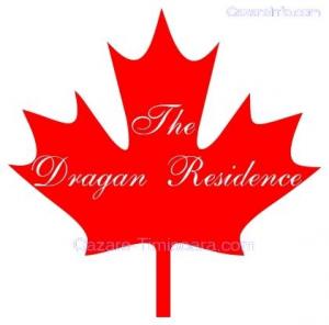 Stoloni de Capsuni soiCavalire Canadian