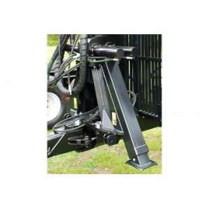 Macara forestiera Palms 610