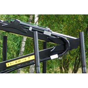 Macara forestiera Palms 610