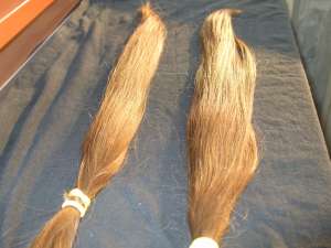 v�nd păr blond auriu  �ngrijit și sănătos