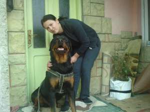 Vand rottweiler