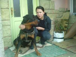 Vand rottweiler