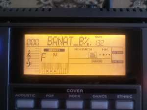 Vand orga Roland EXR 5s