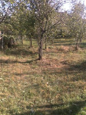 Vand teren intravilan 2460mp com Baiculesti sat Zigoneni la 4 km de intrarea in Curtea de Arges