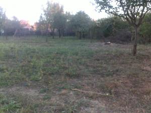 Vand teren intravilan 2460mp com Baiculesti sat Zigoneni la 4 km de intrarea in Curtea de Arges