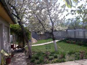 SCHIMB CASA POPESTI CU APART.FOCSANI