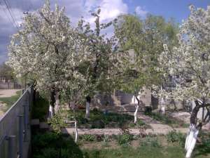 SCHIMB CASA POPESTI CU APART.FOCSANI