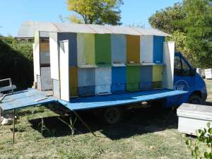 Vand camion apicol