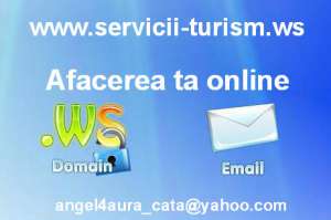 NOU--colaborare online
