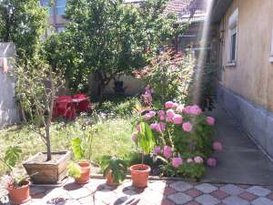vand casa oradea,   zona centru ,   pret avantajos