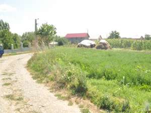 TEREN GRUIU,             PARTICULAR 1300mp