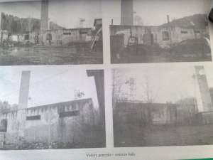 Persoana juridica vand