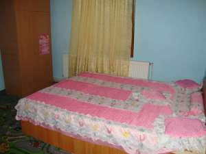 vand p+1 costinesti jud constanta