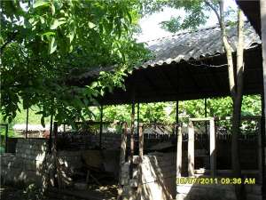 Casa  Comuna Dobrun,    Judetul Olt