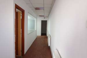 hale mica productie, catering, tipografie digitala,  imagistica etc.