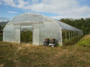Vand solar profesional legume