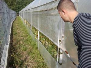Vand solar profesional legume