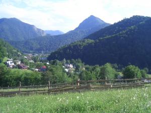 intravilan lepsa