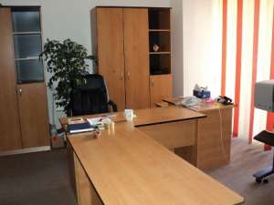 Zona Stefan cel Mare - Vasile Lascar,   vila de inchiriat,   D+P+2,   suprafata 440mp