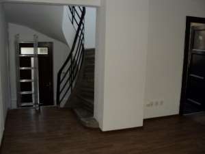 Zona Pache Protopopescu,   vila de inchiriat,   D+P+1+M,   suprafata 300mp