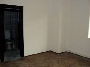 Zona Pache Protopopescu,   vila de inchiriat,   D+P+1+M,   suprafata 300mp