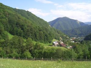intravilan lepsa