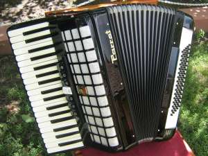 Vand acordeon Parrot.