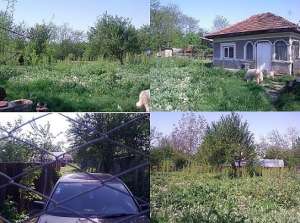 Teren intravilan + Casa -1200mp si teren extravilan 10000mp Branistea de Titu,  Dambovita.